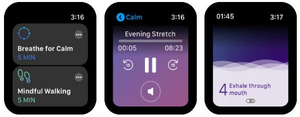 Calm Apple Watch meditation interface